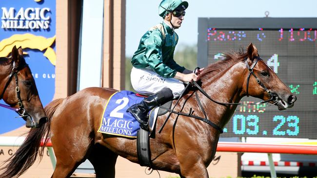 Blake Shinn riding Capitalist returns to scale, after winning the Wyong Magic Millions 2YO classic, at Wyong Race Club. Picture:Peter Clark