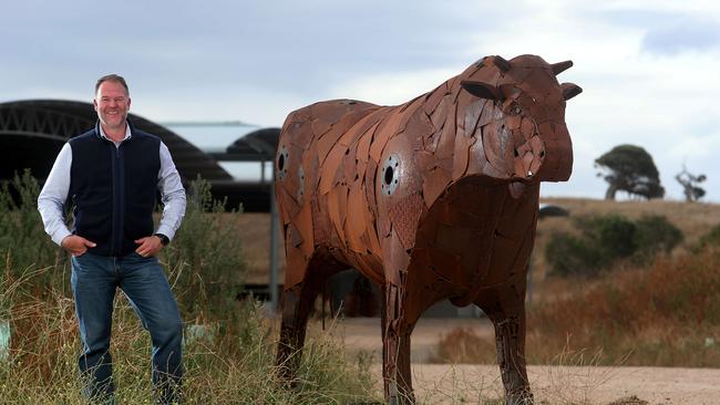 Scott de Bruin, Mayura Station, Millicent, SA, with a sculpture of their bull Mayura Itoshigenami Junior. Picture Yuri Kouzmin