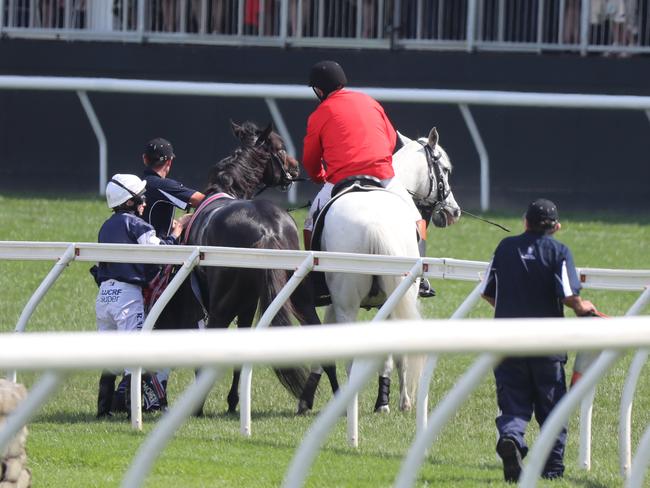 The Cliffsofmoher in distress after pulling out. Picture: Alex Coppel