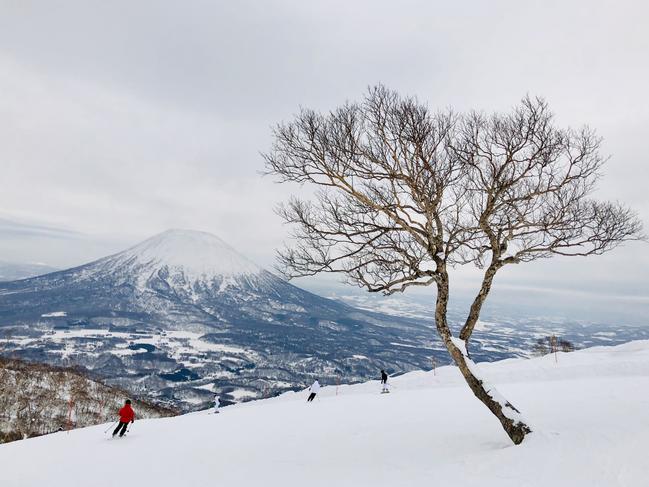 Paper birch trees covered in snow on the ski slopes of Niseko in the Japanese island of Hokkaido, with Mount Yotei in the backgroundcredit: Getty Imagesescape20 june 2021cover story family edition