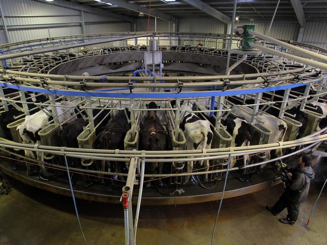 Van Diemen's Land Company, Australia’s largest dairy farm, has been sold to China.