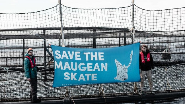 Bob Brown Foundation activists putting a banner up on a salmon pen in Macquarie Harbour. Picture: Supplied.