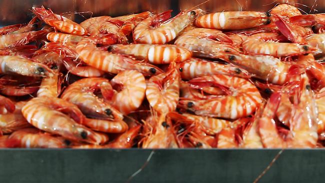 White spot syndrome has been a serious issue with prawns on the Gold Coast, sparking a legal battle over a 2016 outbreak. Picture: BRENDAN RADKE.