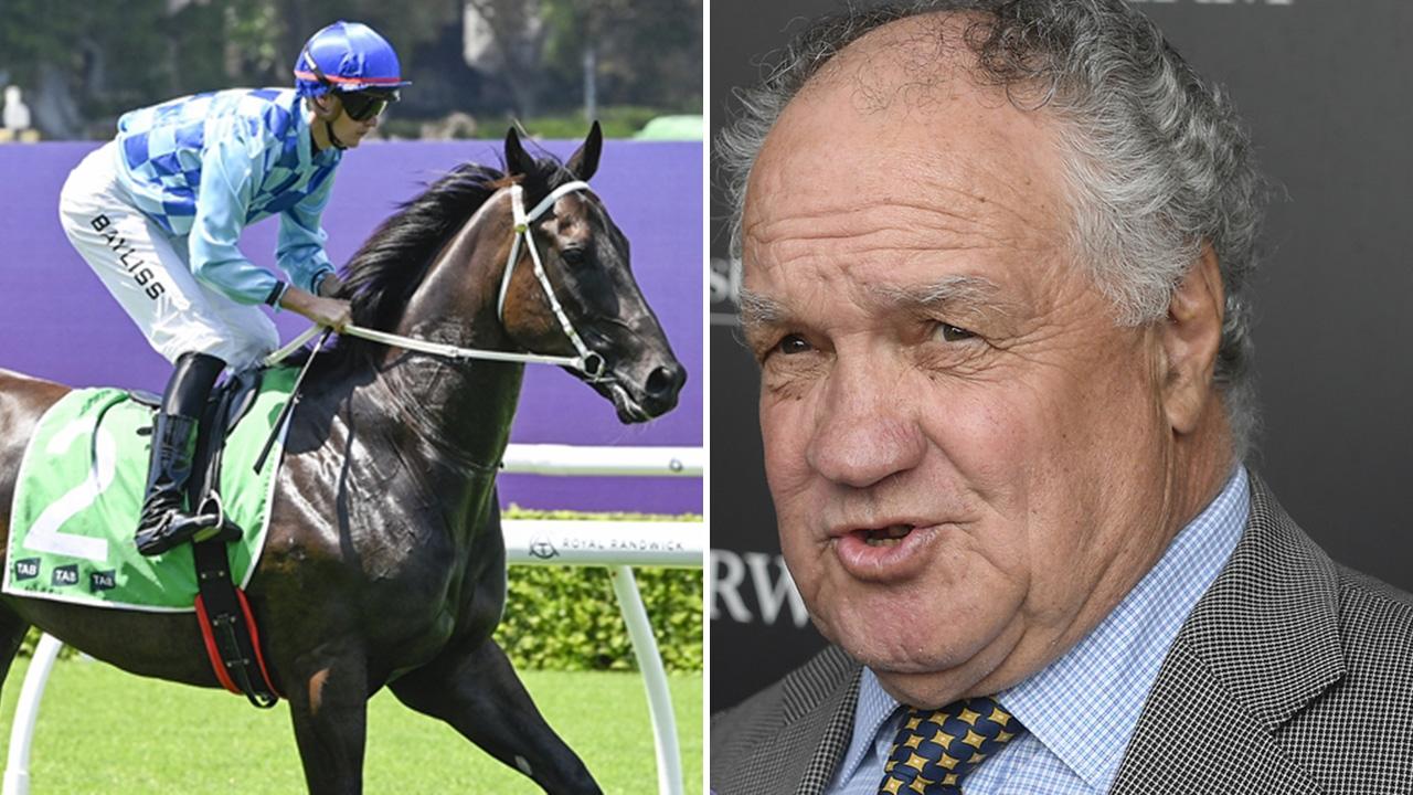 ‘What else am I going to do?’ My Last Hooray no last hurrah for Cleary