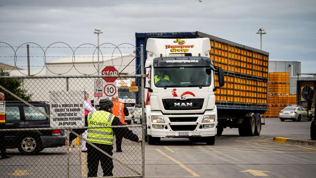 Police, paramedics and Safework SA investigators attended the scene at the time of the incident. Picture: Mike Burton