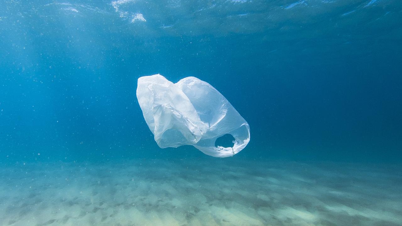 Aldi Announces Plastic Bag Ban Support, Will Phase Out Single-use 