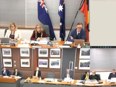 A conspiracy theorist has hijacked a council meeting in Western Australia to rant about fears of a ‘15-minute city’. Picture: Twitter