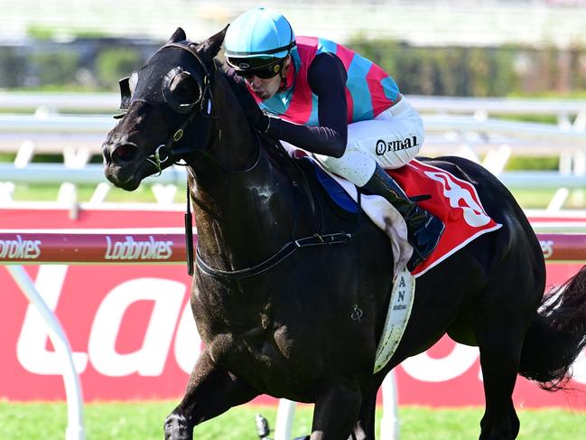 Antino dashes to victory in The Wayne Wilson under jockey Jimmy Orman at Eagle Farm. Picture: Grant Peters - Trackside Photography