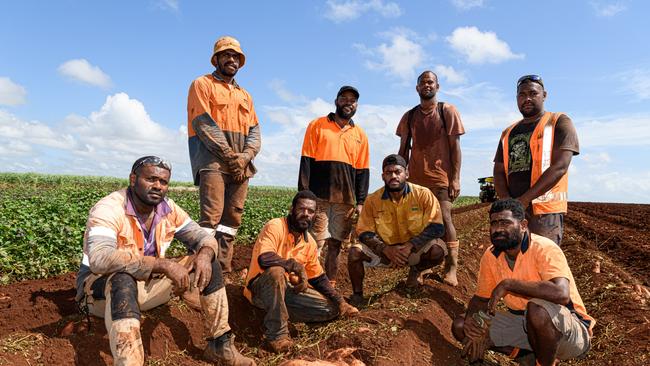 Farm workers from Fiji and Vanuatu. Photo: Paul Beutel