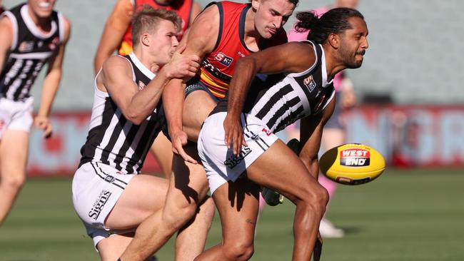 Anthony Wilson has joined Pembroke OS this season after time with Port Adelaide and Old Ignatians. Picture: SANFL, David Mariuz