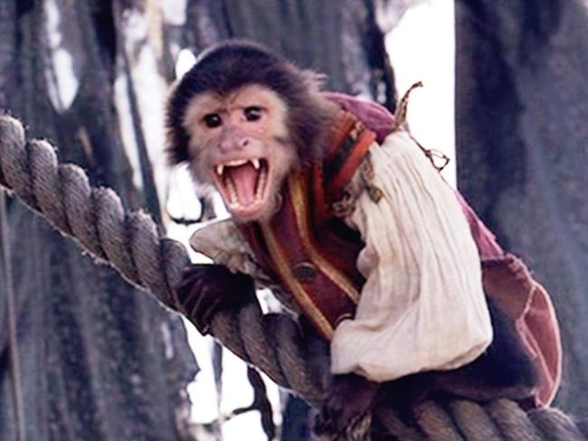 Monkey Jack, from Pirates of the Carribean movie