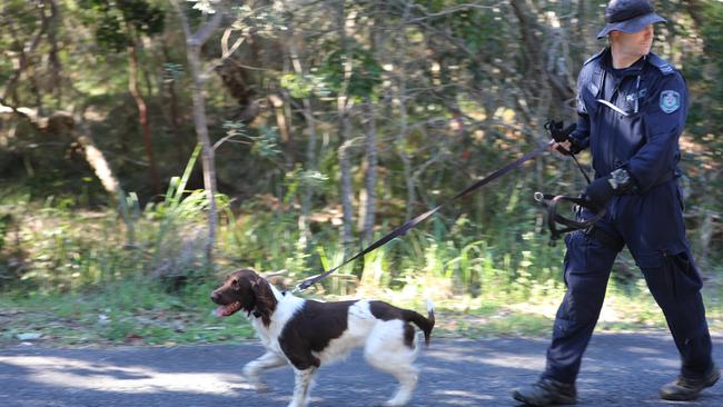 The dog squad was involved in an extensive search of bushland in Arakwal National Park in Byron Bay on July 15, 2020, as part of the investigation into the disappearance of Thea Liddle.