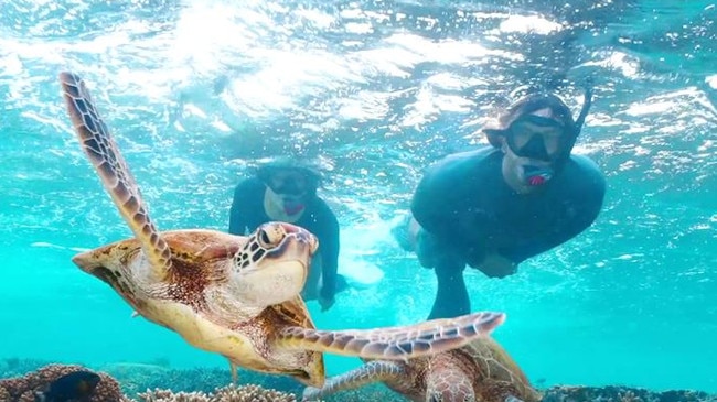 The State Government has flagged a new tourism campaign called Destination 2045, set to double the industry's worth to Queensland in the next two decades.