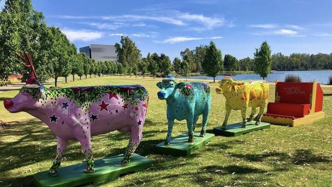 The Christmas Cows before vandals attacked. Photo: Greater Shepparton City Council.