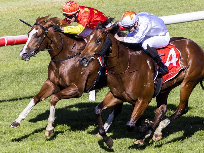 SYDNEY, AUSTRALIA - JUNE 12: Brodie Loy (white) on Verne wins race 1 the Fujitsu General Handicap during Sydney Racing at Royal Randwick Racecourse on June 12, 2021 in Sydney, Australia. (Photo by Jenny Evans/Getty Images)