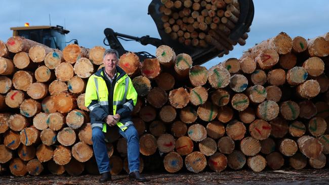 Green Triangle Forest Industries Hub chairman Ian McDonnell, says more thought needs to be given to cross border communities when decisions are made about Covid-19 directions. Picture: Tait Schmaal