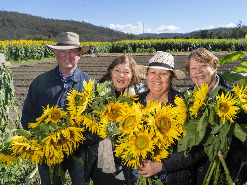 Showing their cuttings are (from left) Russell Taylor, Denise Orton, Pauline Taylor and Annette Topp at the picnic with the sunflowers event hosted by Ten Chain Farm, Saturday, June 8, 2024. Picture: Kevin Farmer