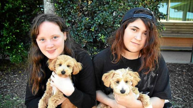 Ashtyn and Kalia with therapy dogs Moana and Pablo. Picture: Vicki Wood