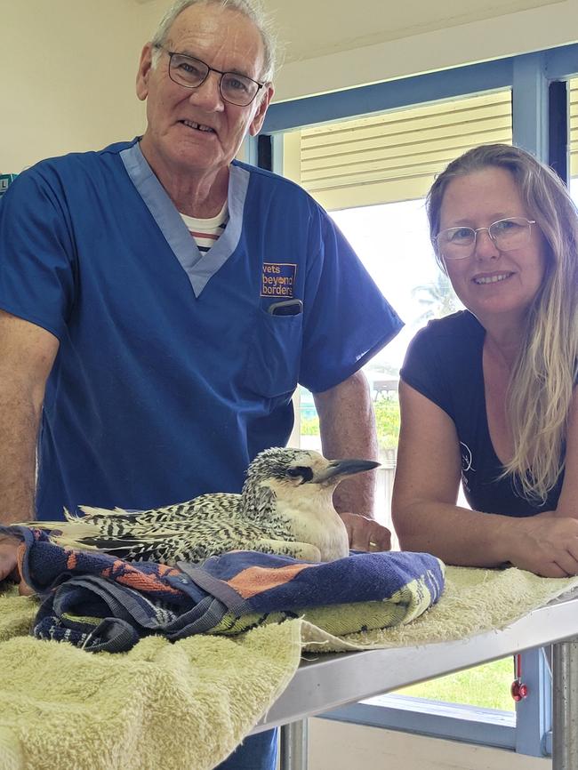 Volunteers, including Tasmanian vet Andrew Nicholson, treating a bird at Te Are Manu vet clinic in the Cook Islands. Picture: Vets Beyond Borders