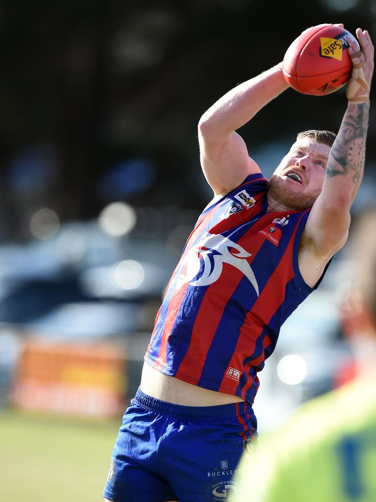 Geelong Footy: GFL, BFL, GDFL Photos | Geelong Advertiser