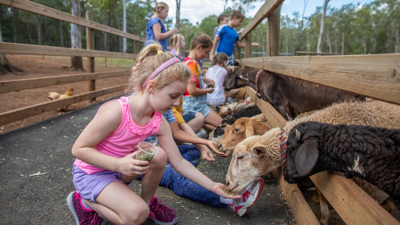 MORETON BAY REGION Top 5 day trips for all the family, including White Ridge Farm, Red Beach, Stony Creek, Bullockys Rest, boat hire in Pumicestone Passage The Courier Mail
