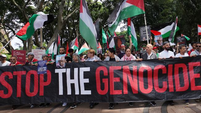 NSW government frontbencher Anthony D'Adam and Greens MP Jenny Leong leading a pro-Palestinian protest march in Sydney.