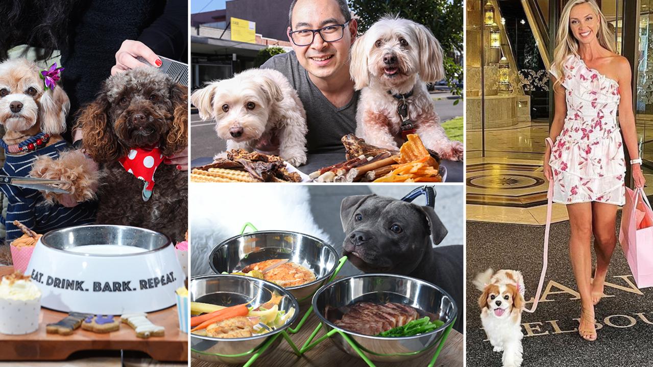 Dog friendly Melbourne: Top places to eat, stay and play with your