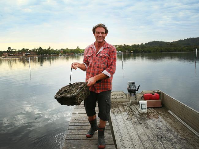 Brisbane Water Oyster's Steve Williamson bringing in a basket of oysters for seeding. Picture: AAP Image/Sue Graham