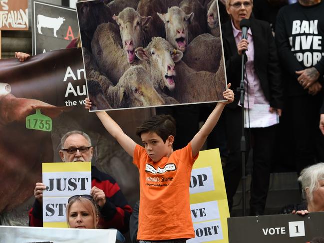 BAN LIVE EXPORT NATIONAL PROTEST PARLIAMENT HOUSE. Story: Animal Justice Party are holding a National Day of Action - Ban Live Export Rallies in cities across the country, Adelaide, Brisbane, Canberra, Melbourne and Sydney. Pic: Tricia Watkinson