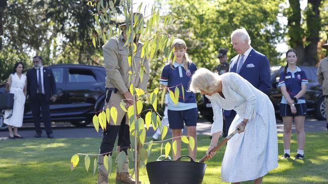 Queen Camilla planting a tree at government house in Canberra. Picture: NewsWire / David Beach