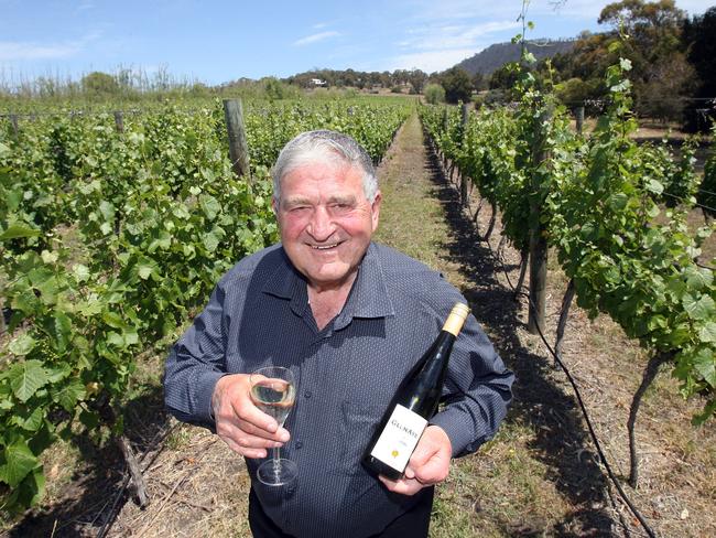 TurfBill Casimaty also ventured into viticulture and winemaking.