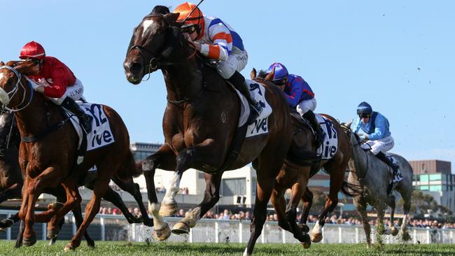 Veight can win the battle of the quality colts in Saturday’s Group 3 Caulfield Guineas Prelude. Picture: Racing Photos via Getty Images