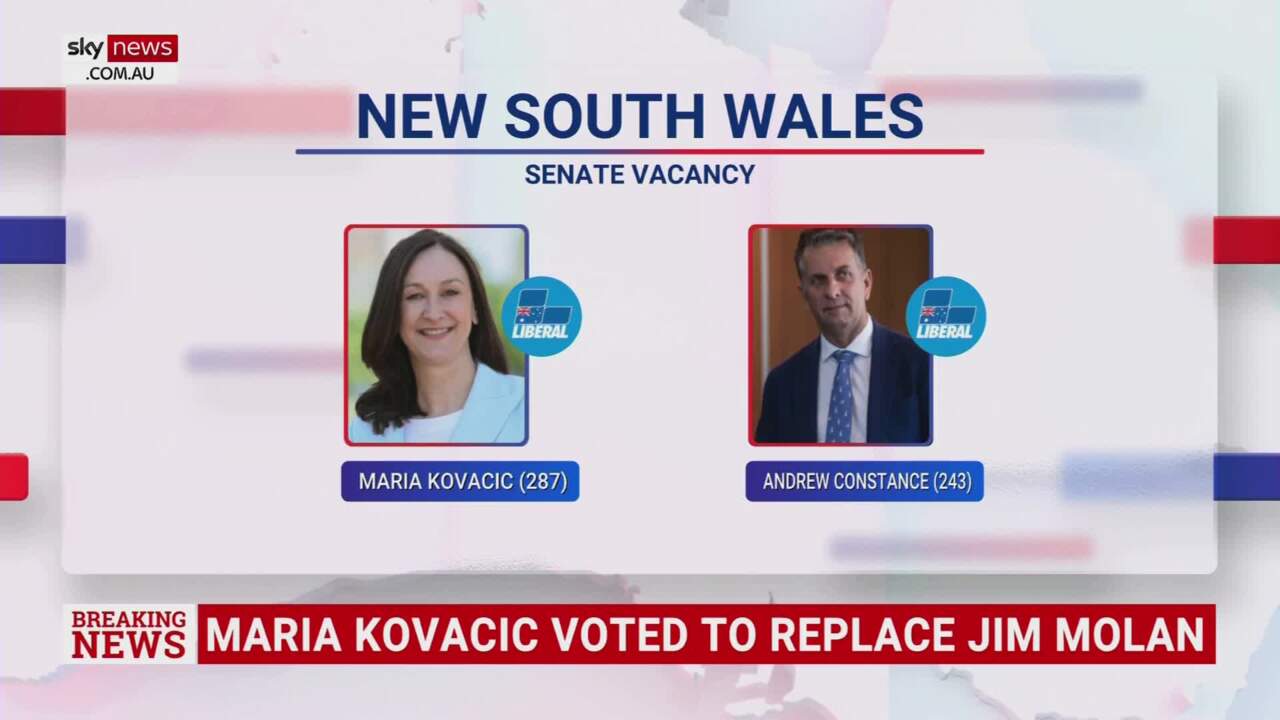 Maria Kovacic voted to replace Jim Molan’s NSW Senate seat