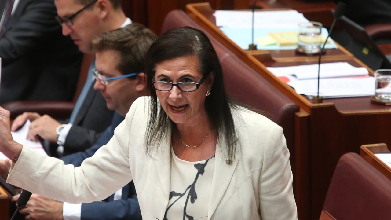 Liberal Senator plunges self into 'ugly politics'