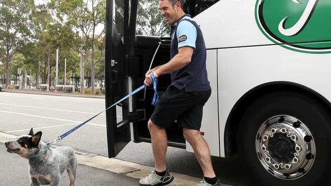 Blues coach Brad Fittler laughs as he tries to take Blues mascot Bruce the Blue Heeler puppy on the team bus (Photo by Mark Kolbe/Getty Images)