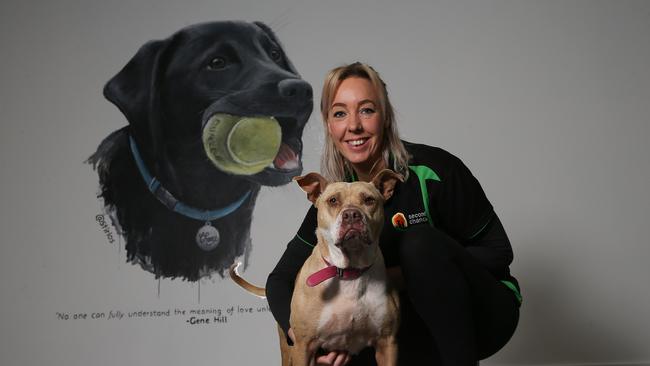 Second Chance Animal Rescue employee Nicky Fossati with Honey. Picture: George Salpigtidis