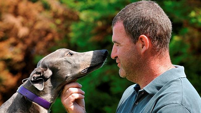 Greyhound racing. The Australian Cup. Perfect Fancy with Trainer Darren McDonald