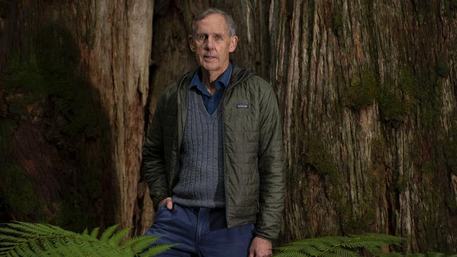 Bob Brown, pictured in the southern forests: “We don’t need to cut a single tree from native forests again in any place in Australia. Picture: MATTHEW NEWTON