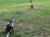 I was scolded for letting my son 'wander' 15 metres away from me at a park