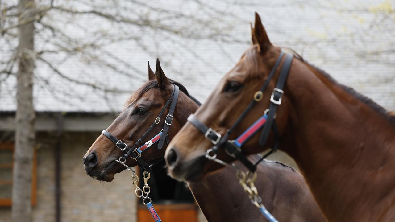 Everest runners Bella Nipotina (foreground) and I Am Me will go head-to-heat at at Royal Randwick . Picture: Richard Dobson