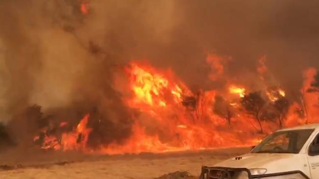 The Kangaroo Island bushfire. Picture Brenton Davis