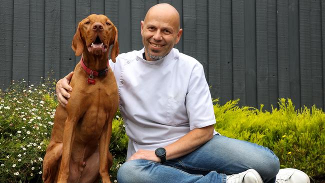 Pharmacist Chris Stefanos with his two-year-old hungarian vizsla dog Lenny. Picture: NCA NewsWire / Ian Currie