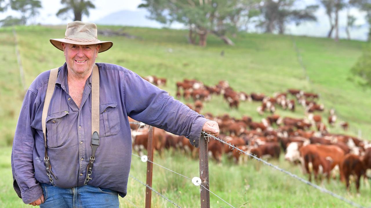 NEWS: Bluey Commins Nunniong Herefords Ensay Bluey Commins on his farm getting his Hereford cattle in for the sales at Ensay