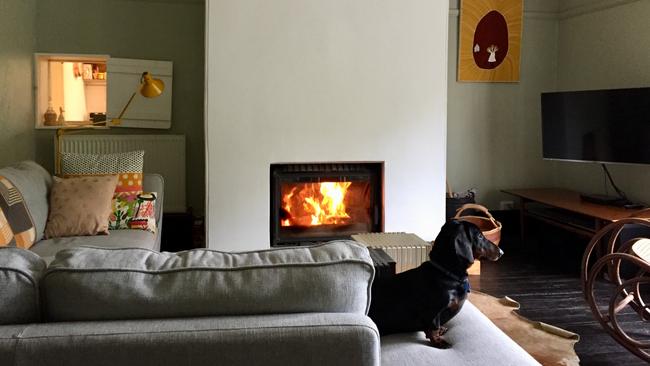 The interiors of the homestead and extra-long sausage dog, Lioneld. Picture: Supplied