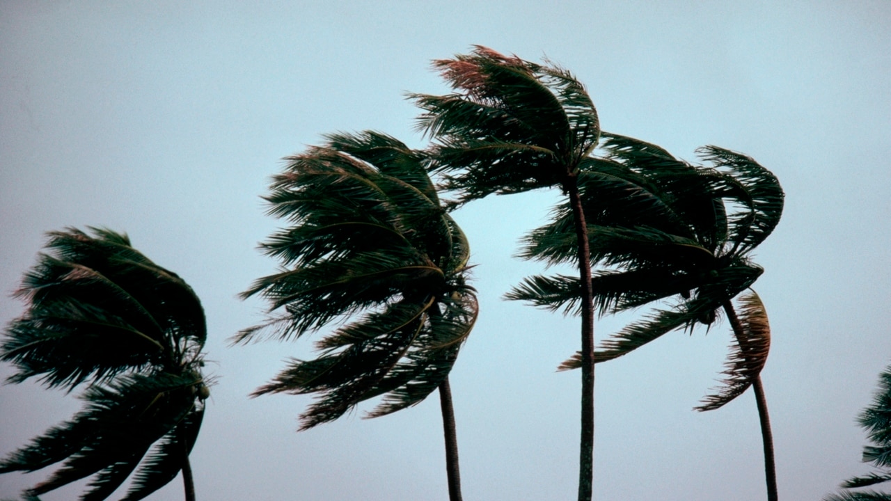  Darwin residents seek shelter from Tropical Cyclone Marcus