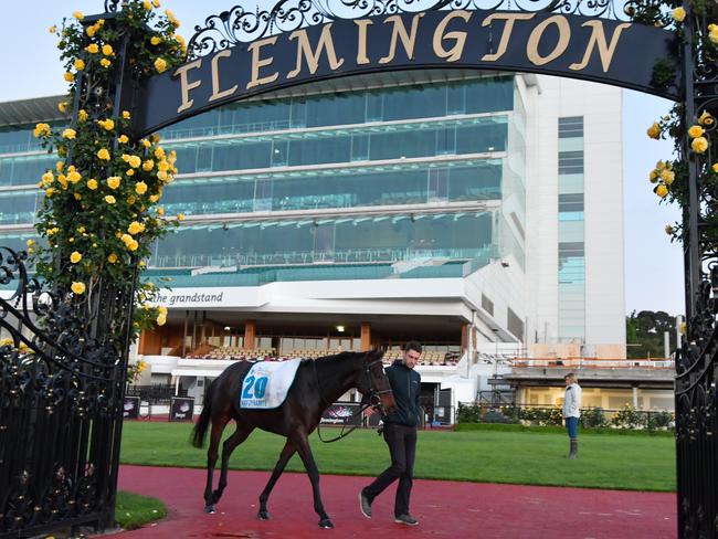 Could Max Dynamite spoil the Williams’ Melbourne Cup party? Picture: Getty Images