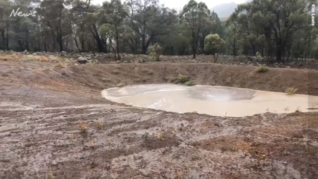 Kim Lewis enjoys the rain on her property in Tamworth.