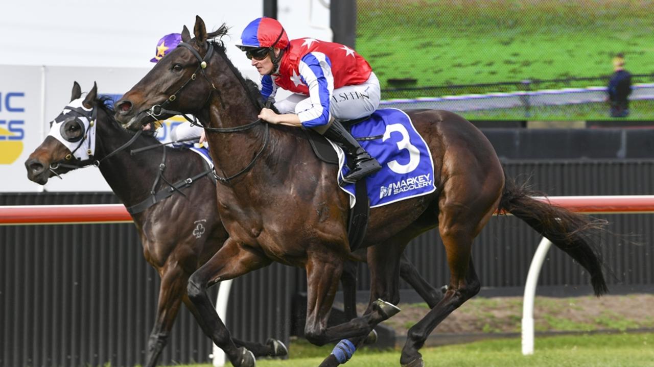 Highborn Harry could earn himself a shot at the Gloaming Stakes if successful at Gosford on Thursday. Picture: Bradley Photos