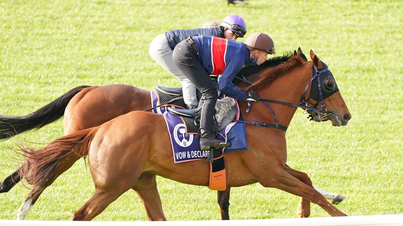 Last year’s Melbourne Cup winner Vow and Declare with Cetshwayo during trackwork at Flemington Racecourse on October 27, 2020 in Flemington, Australia. Picture: Scott Barbour/Racing Photos via Getty Images.