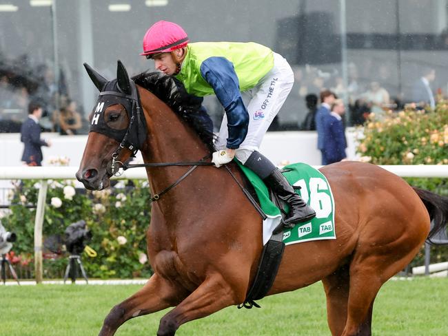 Lord Vladivostok (NZ) on the way to the barriers prior to the running of the TAB Linlithgow Stakes at Flemington Racecourse on October 29, 2022 in Flemington, Australia. (Photo by George Sal/Racing Photos via Getty Images)